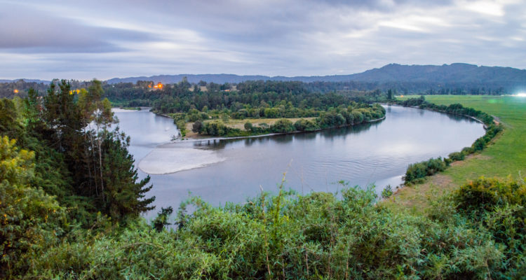 Comunidades mapuches de Los Ríos entregan carta rechazando proyecto de Colbún en río San Pedro