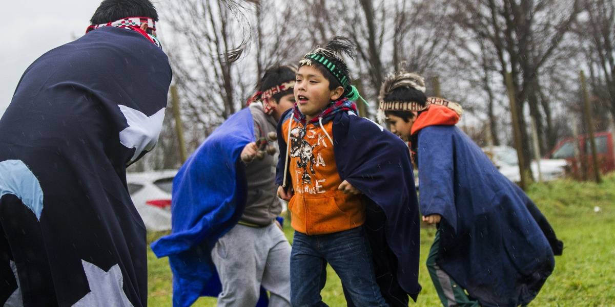 Corte de Temuco acogió recurso de amparo en favor de niños mapuche