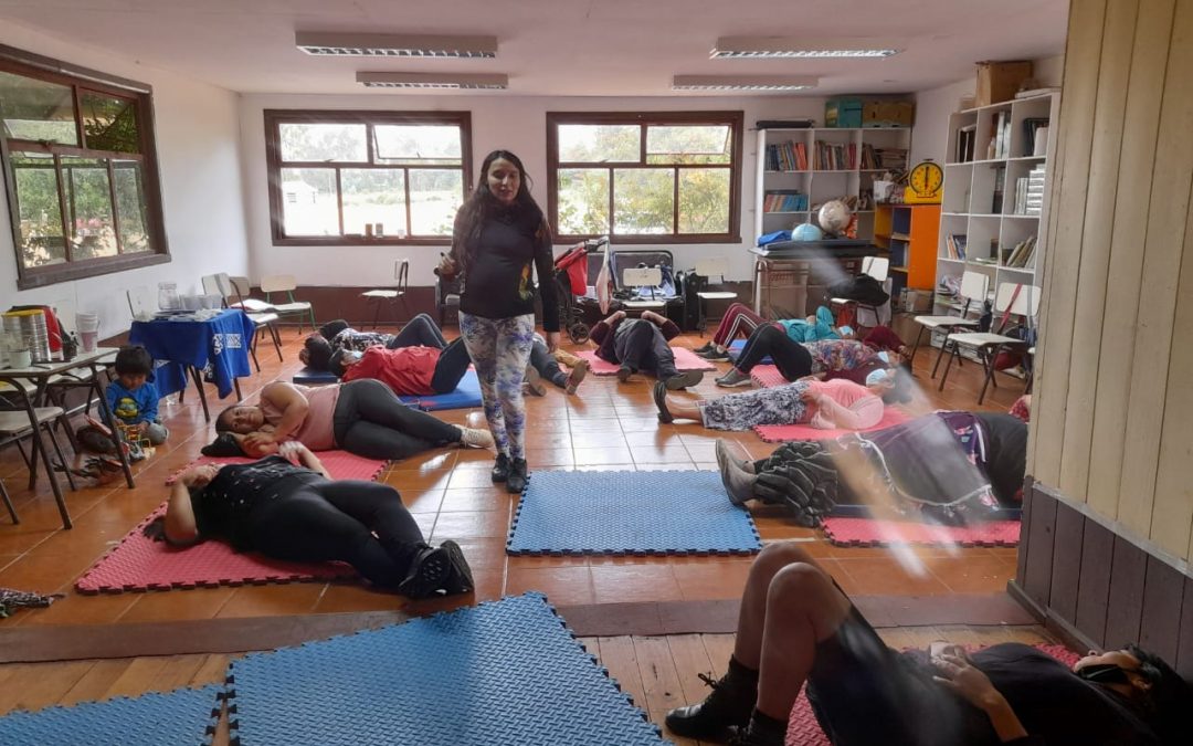 Taller  “Efectos Psicosociales de Vif en el Contexto Mapuche”