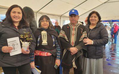 Participación Kawiñ Amunka – AD KIMVN Asociación Mapuche.