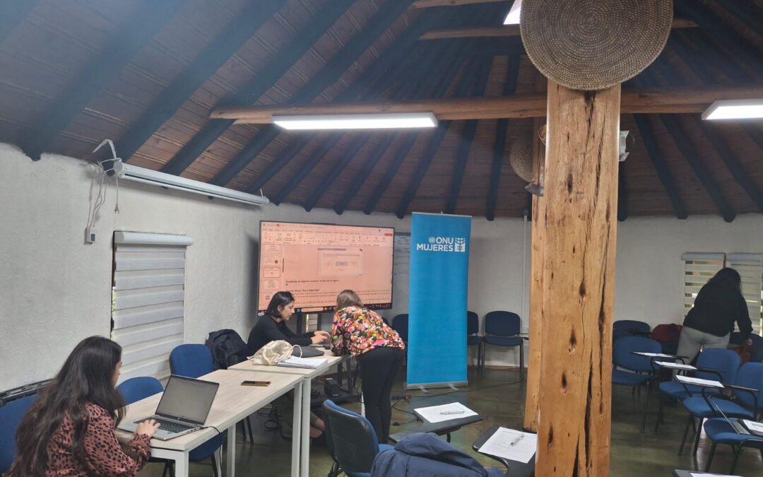 ONU Mujeres – Newenche